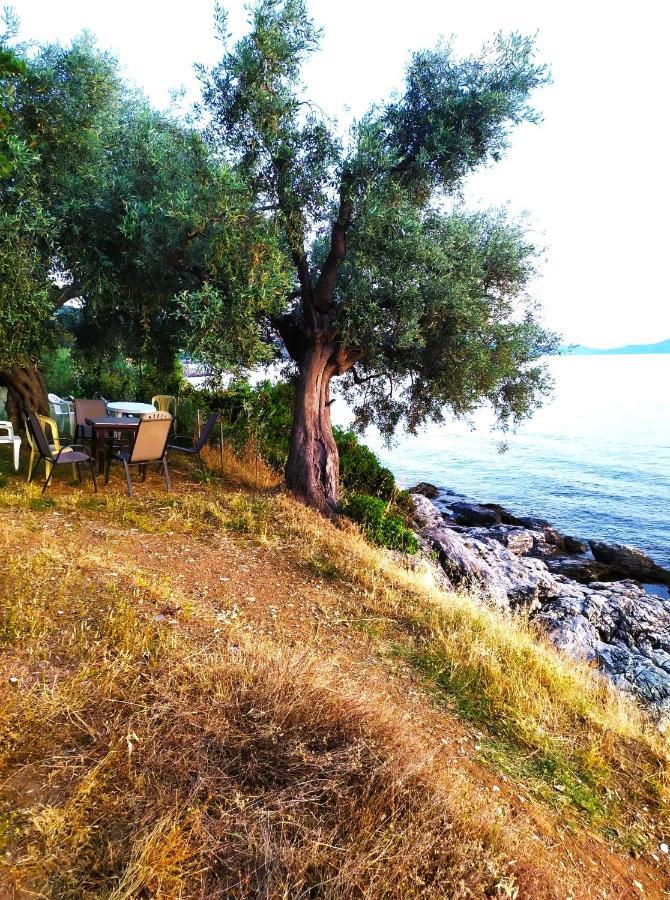 Villa Leonidas Greecefiloxenia Lefokastro Exteriér fotografie