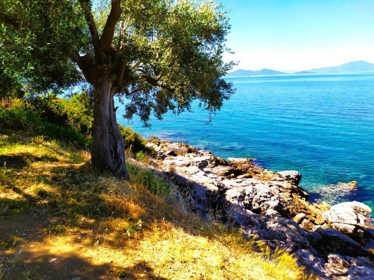 Villa Leonidas Greecefiloxenia Lefokastro Exteriér fotografie